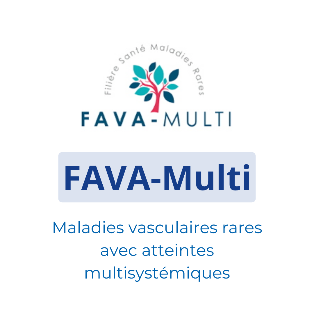 FAVA-Multi