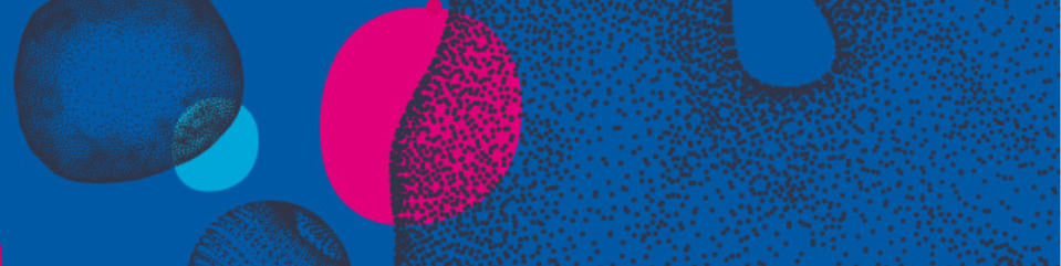 Insitut-du-cerveau-de-lenfant-iame