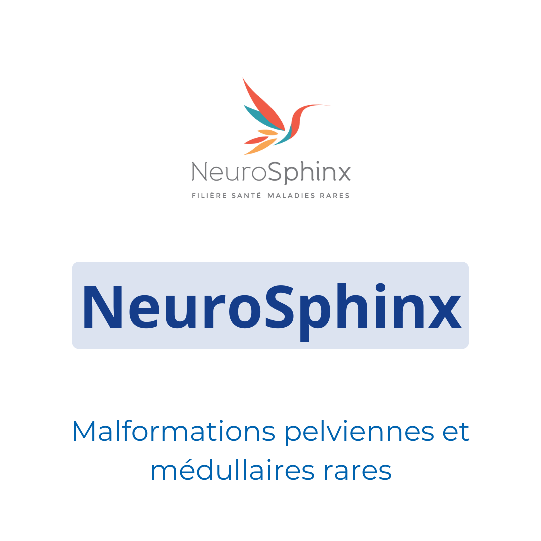 NeuroSphinx