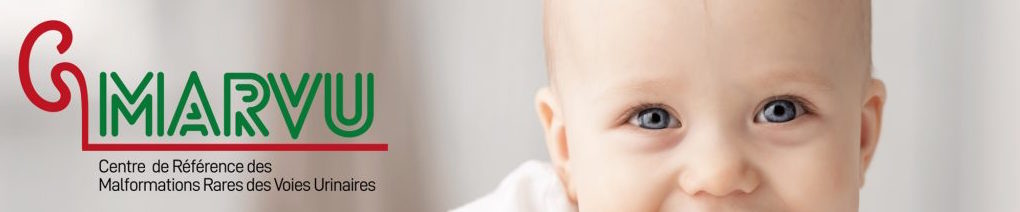 photo-marvu-1-1024x433